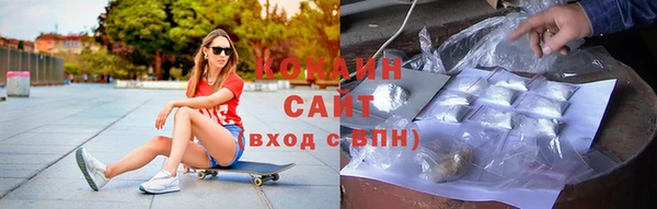 прущие грибы Балахна