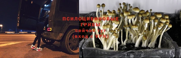 амфетамин Баксан