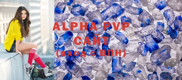 прущие грибы Балахна