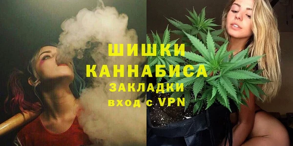 прущие грибы Балахна